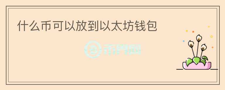 什么幣可以放到以太坊錢包