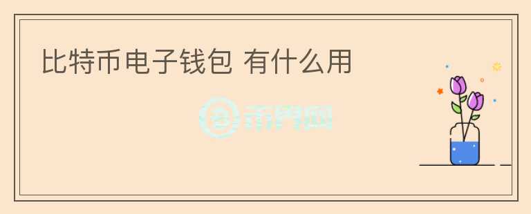 比特幣電子錢包 有什么用