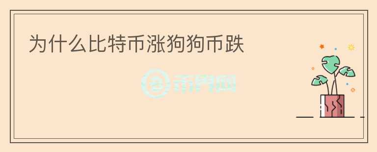 為什么比特幣漲狗狗幣跌