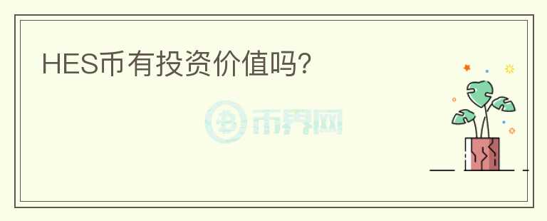 HES幣有投資價(jià)值嗎？