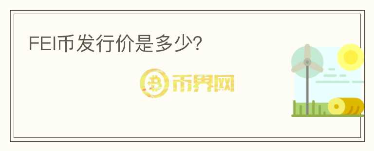 FEI幣發(fā)行價是多少？