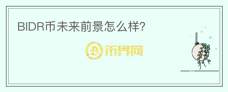 BIDR幣未來前景怎么樣？