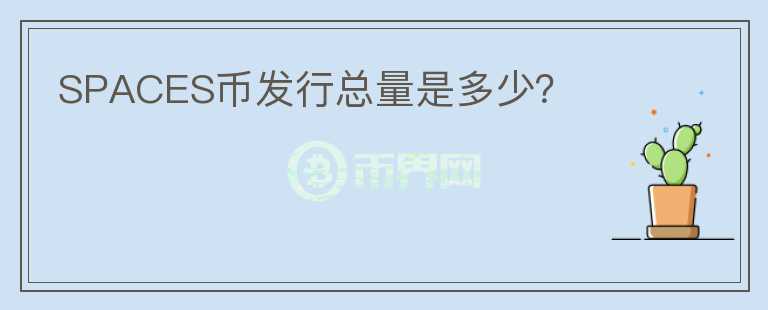 SPACES幣發(fā)行總量是多少？