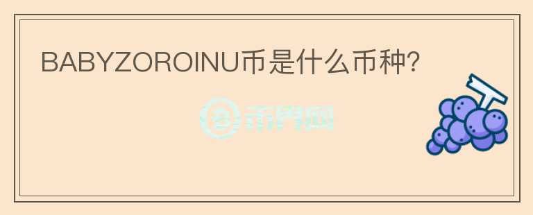 BABYZOROINU幣是什么幣種？