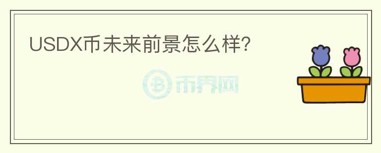 USDX幣未來前景怎么樣？
