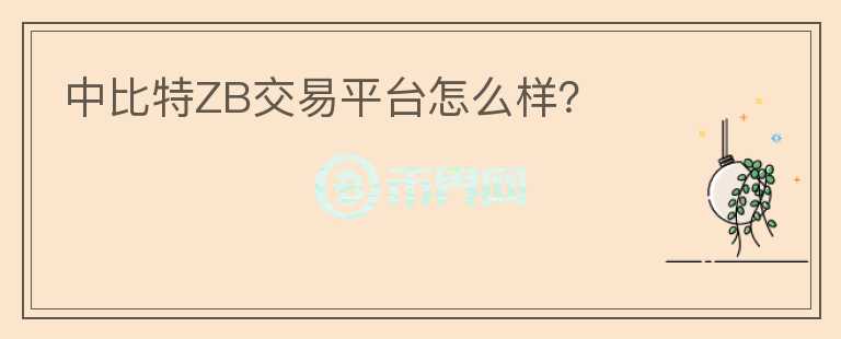 中比特ZB交易平臺怎么樣？