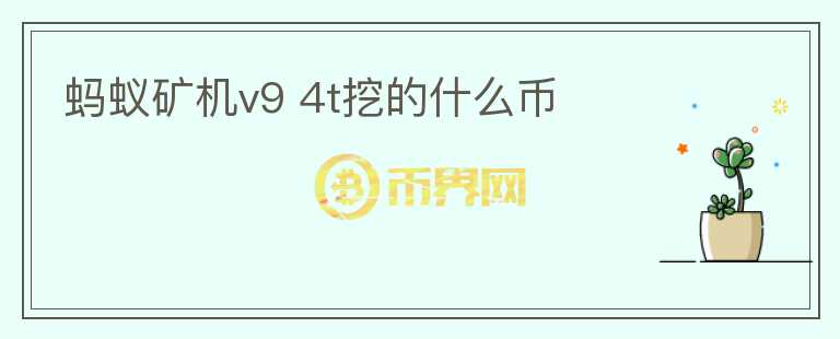 螞蟻礦機(jī)v9 4t挖的什么幣