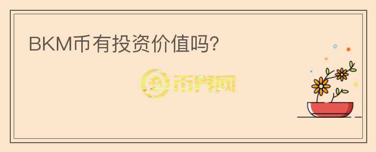 BKM幣有投資價(jià)值嗎？