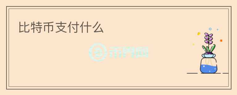 比特幣支付什么