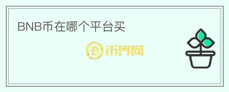 BNB幣在哪個(gè)平臺(tái)買