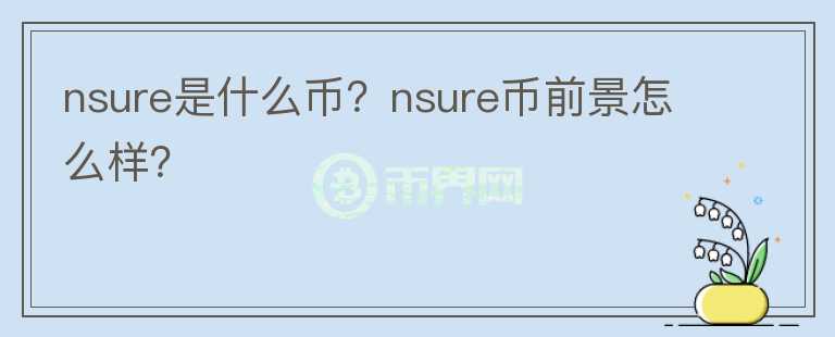nsure是什么幣？nsure幣前景怎么樣？