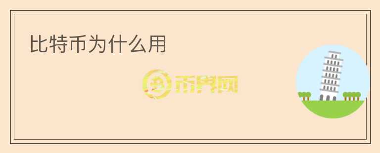 比特幣為什么用