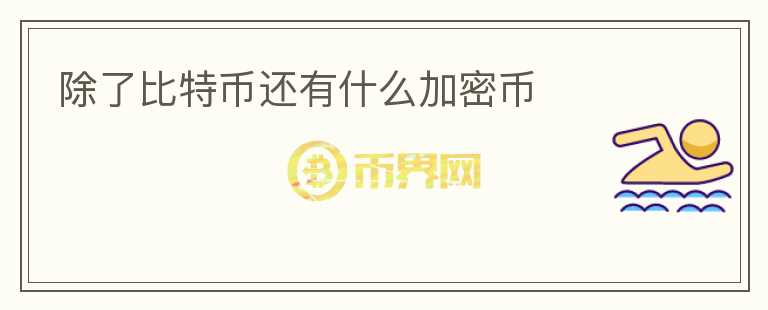 除了比特幣還有什么加密幣