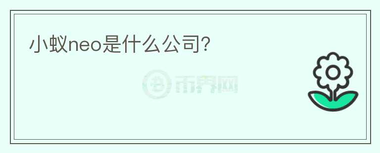 小蟻neo是什么公司？