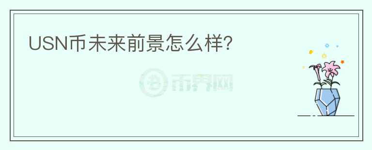 USN幣未來前景怎么樣？