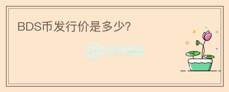 BDS幣發(fā)行價(jià)是多少？