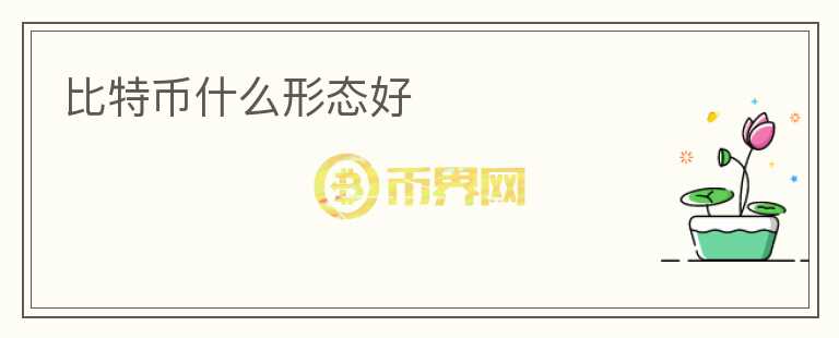 比特幣什么形態(tài)好