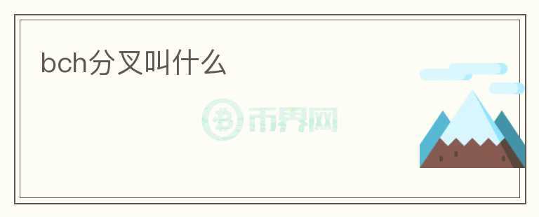 bch分叉叫什么