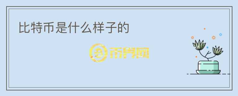 比特幣是什么樣子的