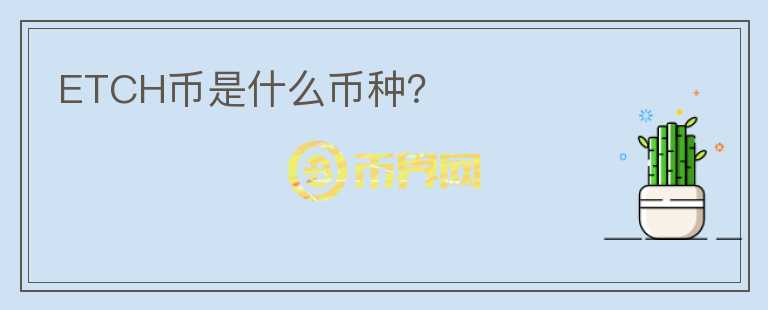 ETCH幣是什么幣種？