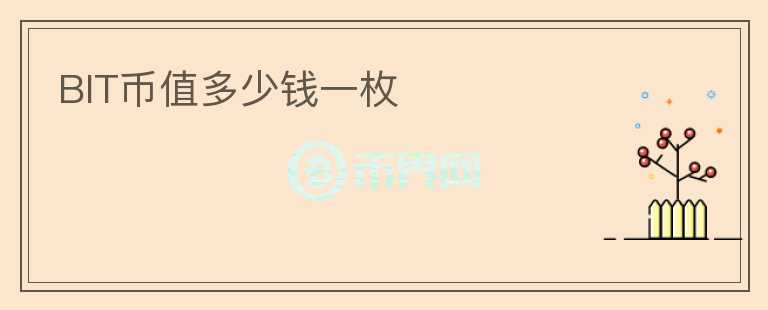 BIT幣值多少錢一枚