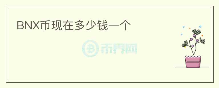 BNX幣現(xiàn)在多少錢一個