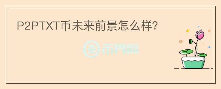 P2PTXT幣未來前景怎么樣？