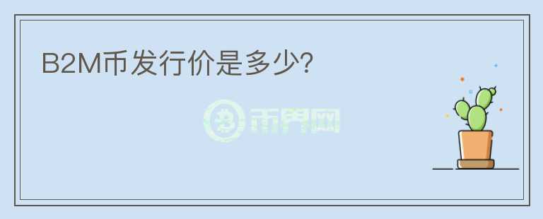 B2M幣發(fā)行價是多少？