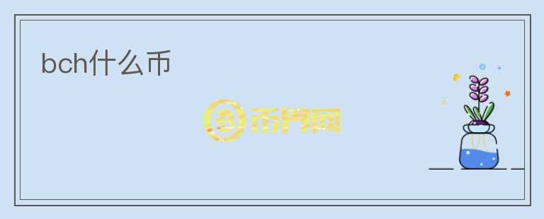 bch什么幣