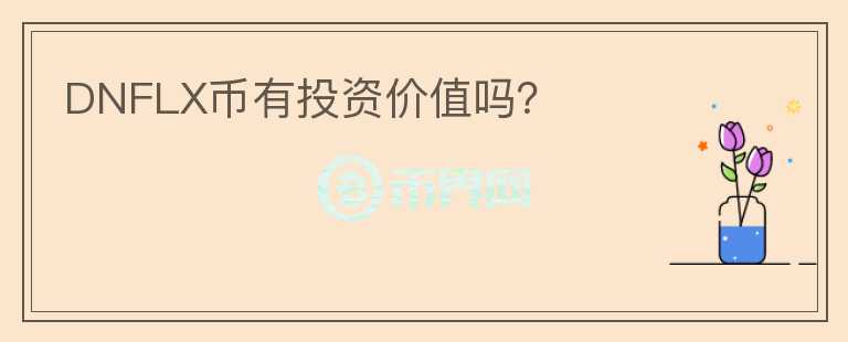 DNFLX幣有投資價值嗎？