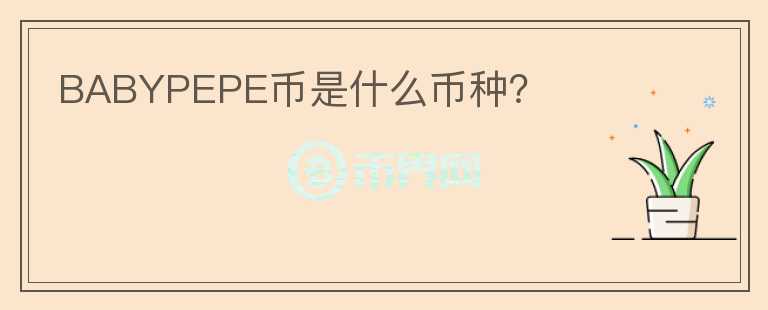BABYPEPE幣是什么幣種？
