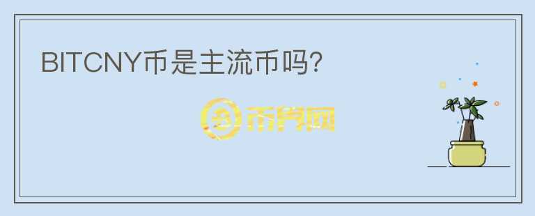 BITCNY幣是主流幣嗎？