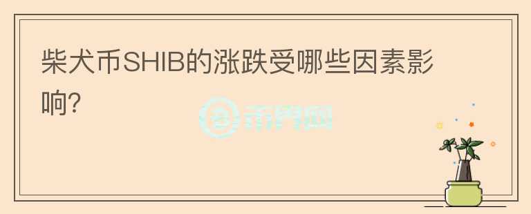 柴犬幣SHIB的漲跌受哪些因素影響？