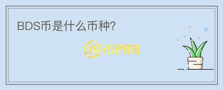 BDS幣是什么幣種？