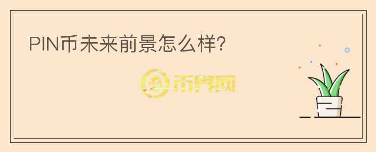 PIN幣未來(lái)前景怎么樣？
