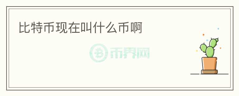 比特幣現(xiàn)在叫什么幣啊