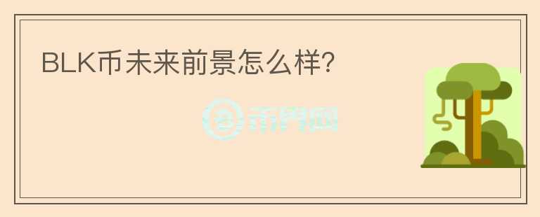 BLK幣未來前景怎么樣？