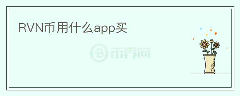 RVN幣用什么app買