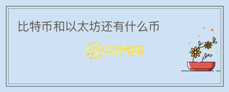 比特幣和以太坊還有什么幣