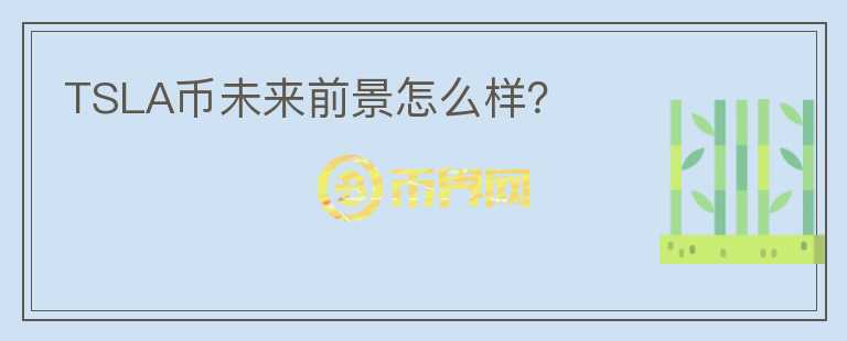 TSLA幣未來前景怎么樣？