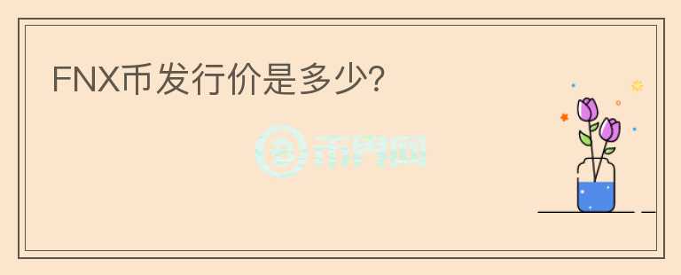 FNX幣發(fā)行價(jià)是多少？