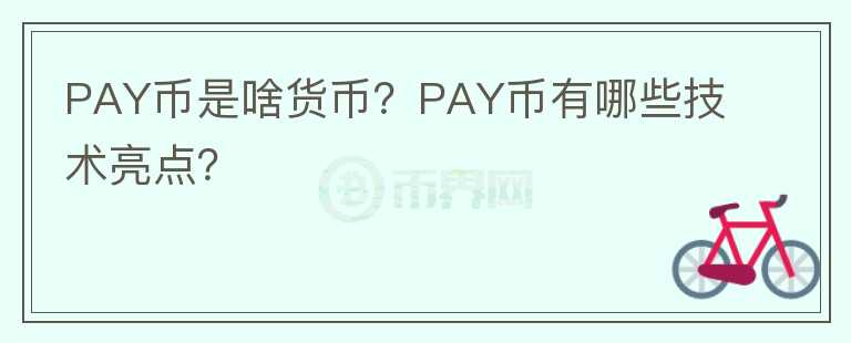 PAY幣是啥貨幣？PAY幣有哪些技術(shù)亮點(diǎn)？