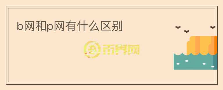 b網(wǎng)和p網(wǎng)有什么區(qū)別