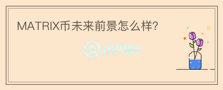 MATRIX幣未來前景怎么樣？