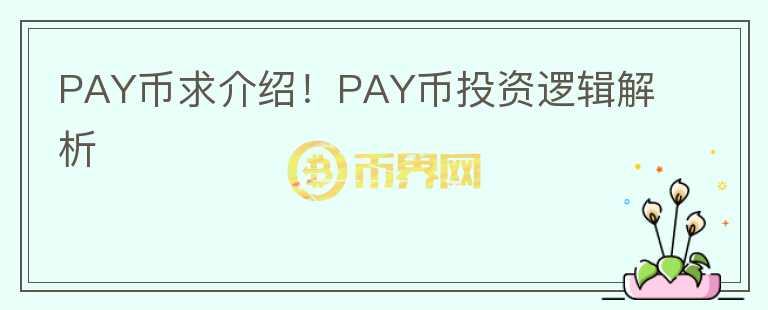 PAY幣求介紹！PAY幣投資邏輯解析
