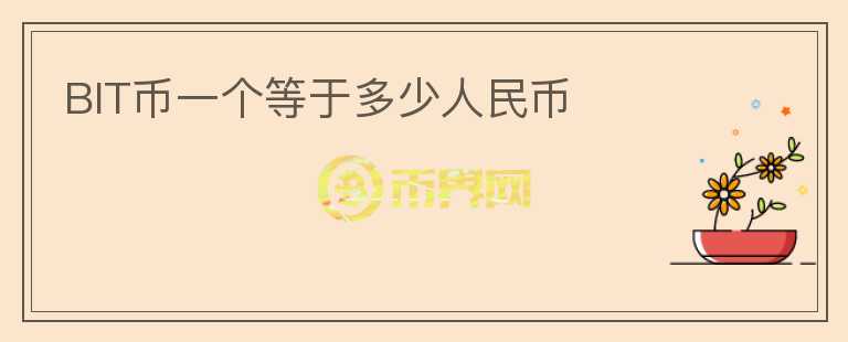 BIT幣一個等于多少人民幣