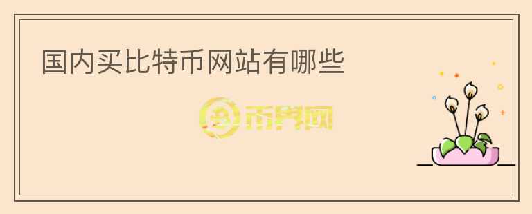 國(guó)內(nèi)買比特幣網(wǎng)站有哪些