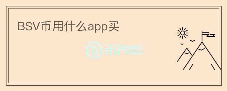 BSV幣用什么app買