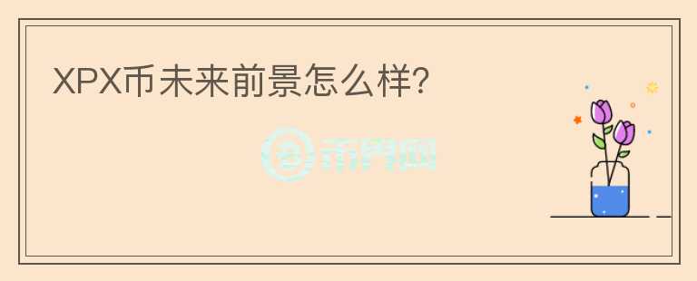 XPX幣未來(lái)前景怎么樣？