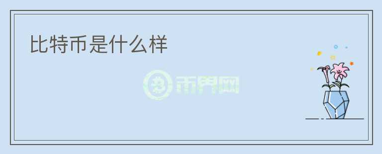 比特幣是什么樣